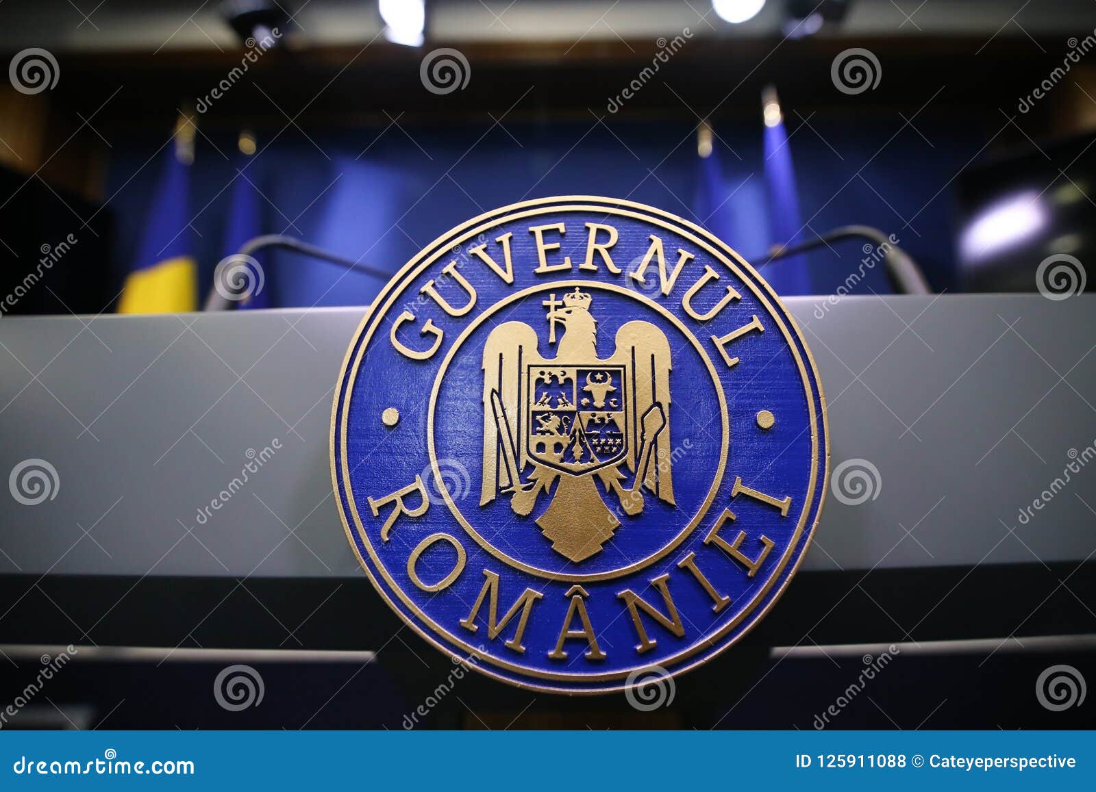 romaniaÃ¢â¬â¢s emblem with the romanian government text